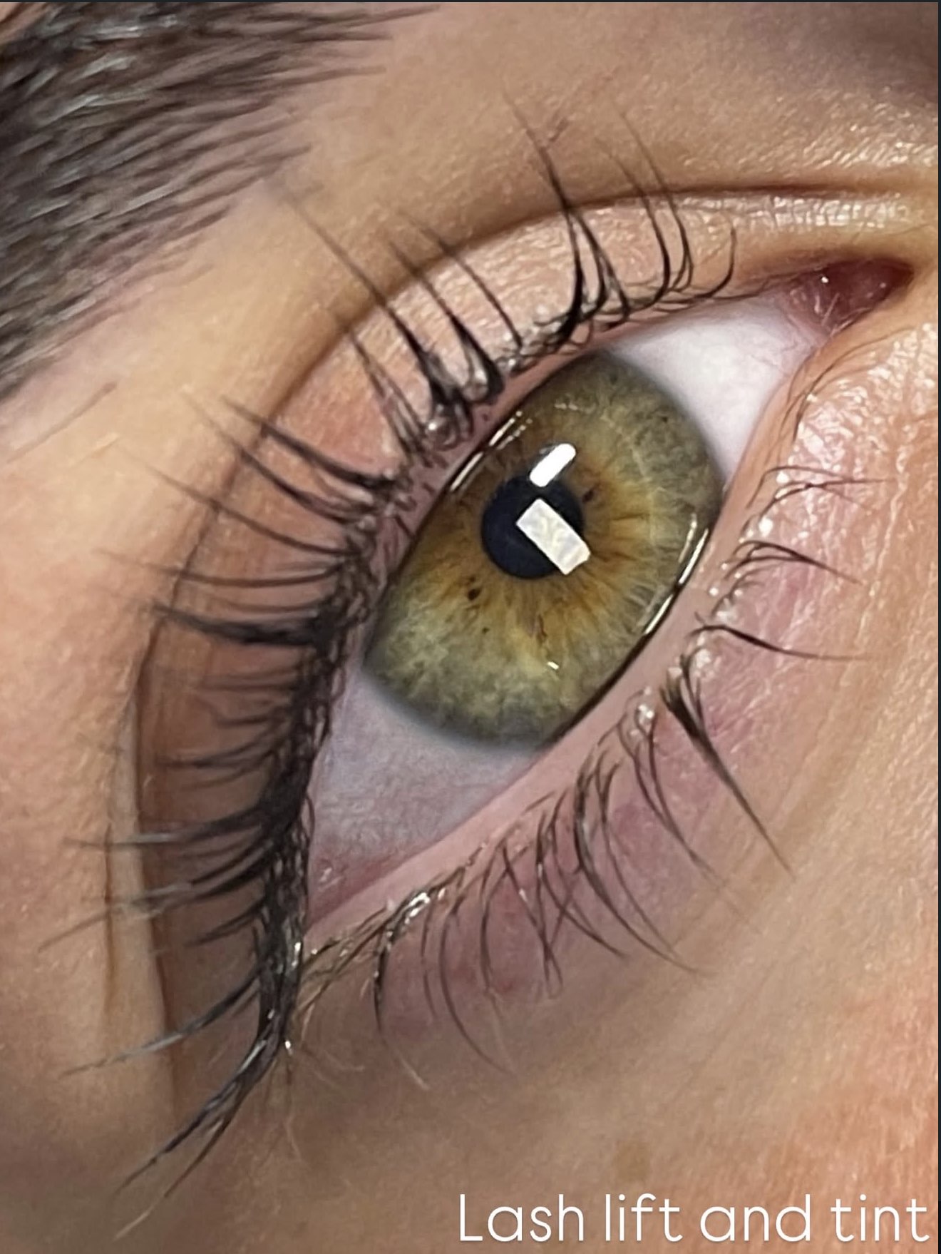BellaFace lash and brow studio detail